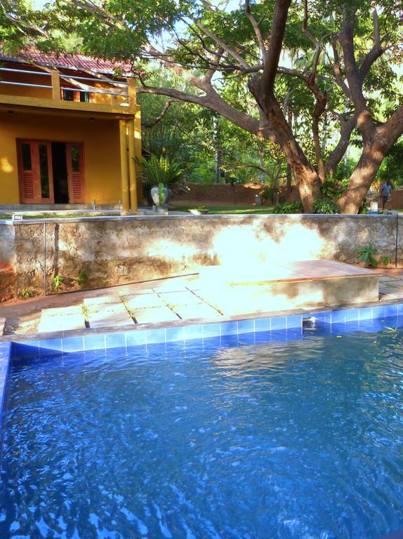 Villa Raintree à Dambulla Extérieur photo
