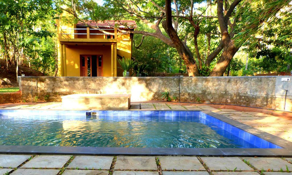 Villa Raintree à Dambulla Extérieur photo