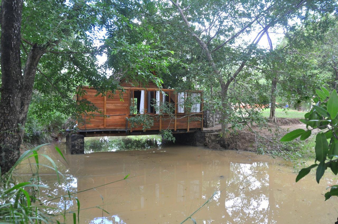 Villa Raintree à Dambulla Extérieur photo