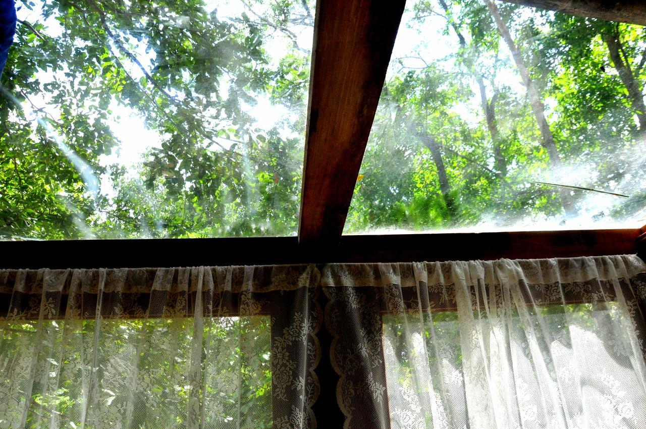 Villa Raintree à Dambulla Extérieur photo