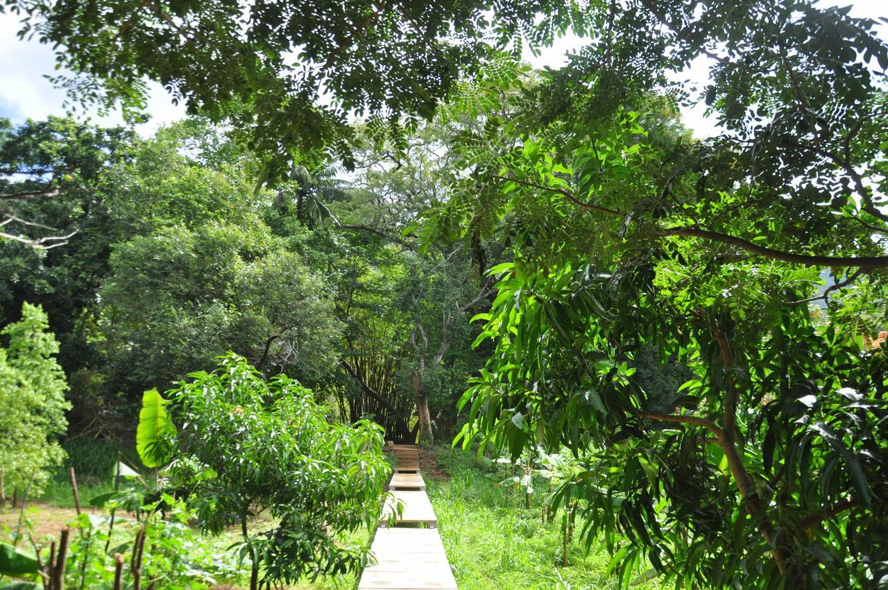 Villa Raintree à Dambulla Extérieur photo