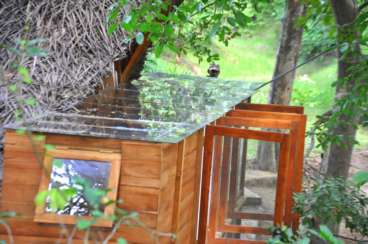 Villa Raintree à Dambulla Extérieur photo