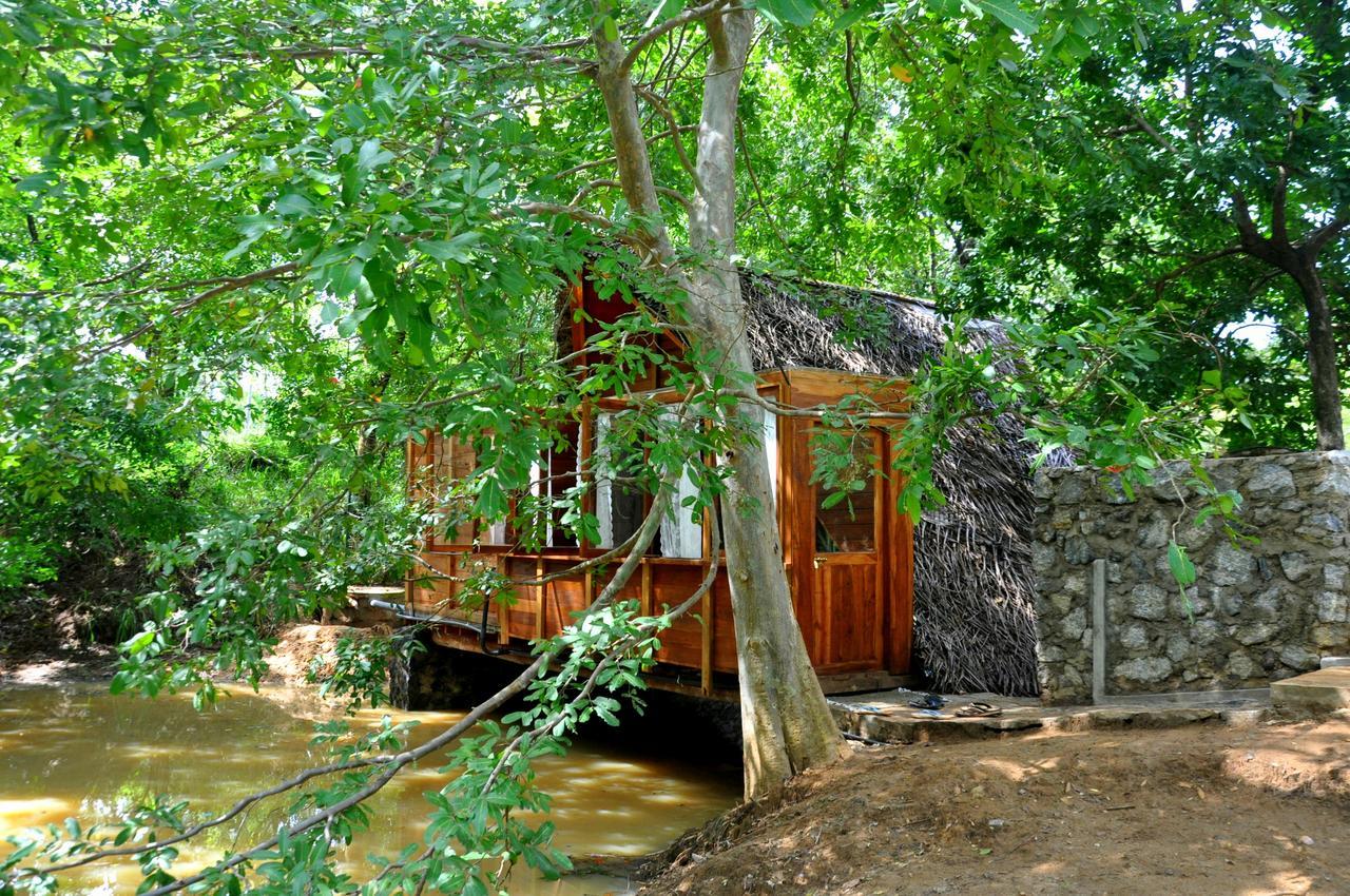 Villa Raintree à Dambulla Extérieur photo
