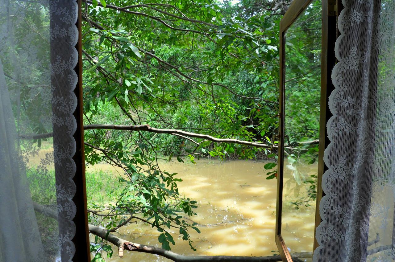 Villa Raintree à Dambulla Extérieur photo