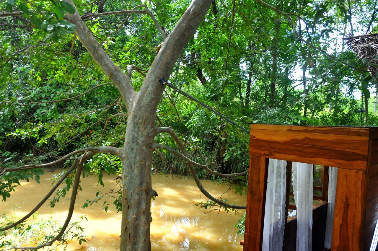 Villa Raintree à Dambulla Extérieur photo