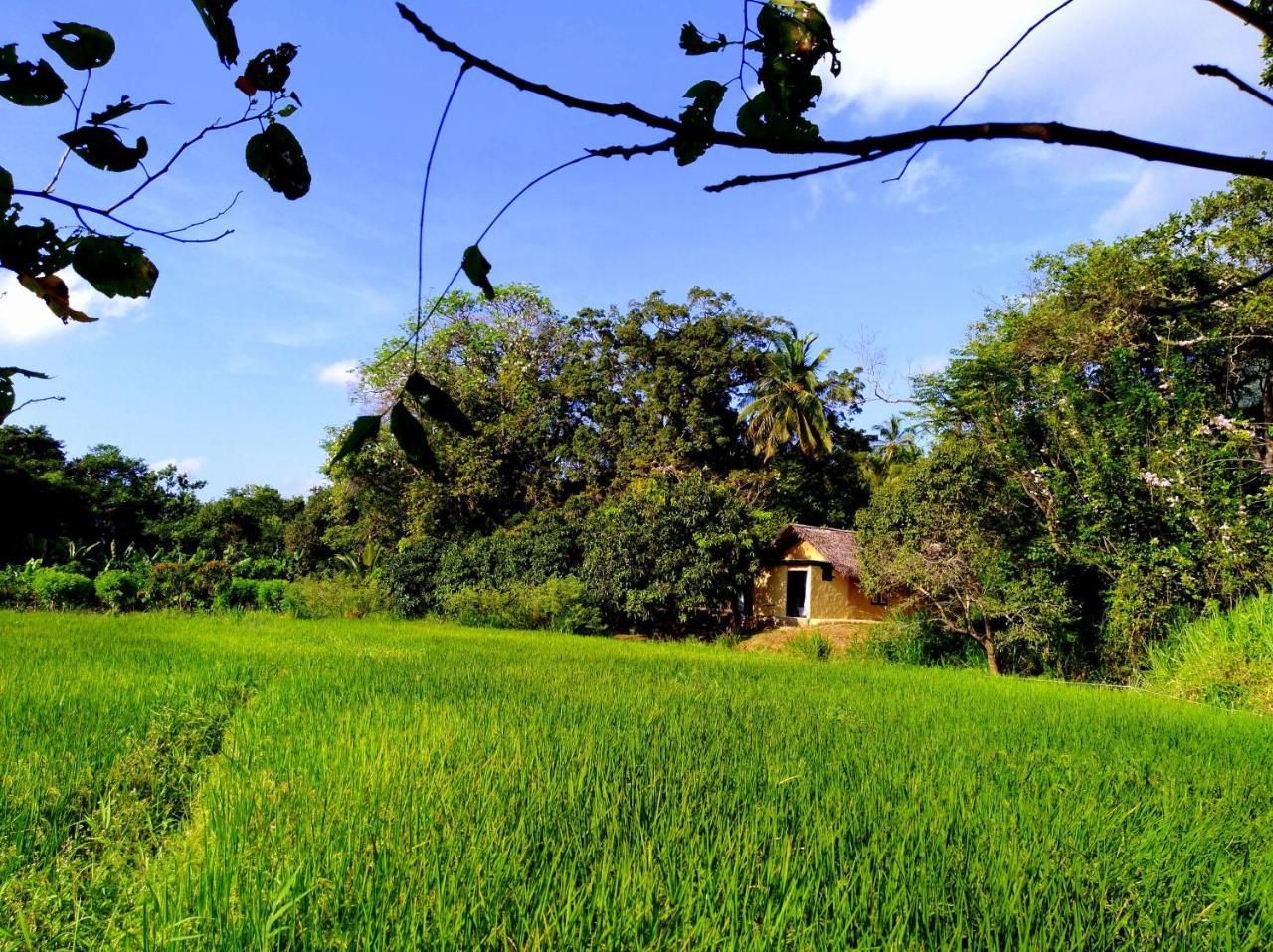 Villa Raintree à Dambulla Extérieur photo
