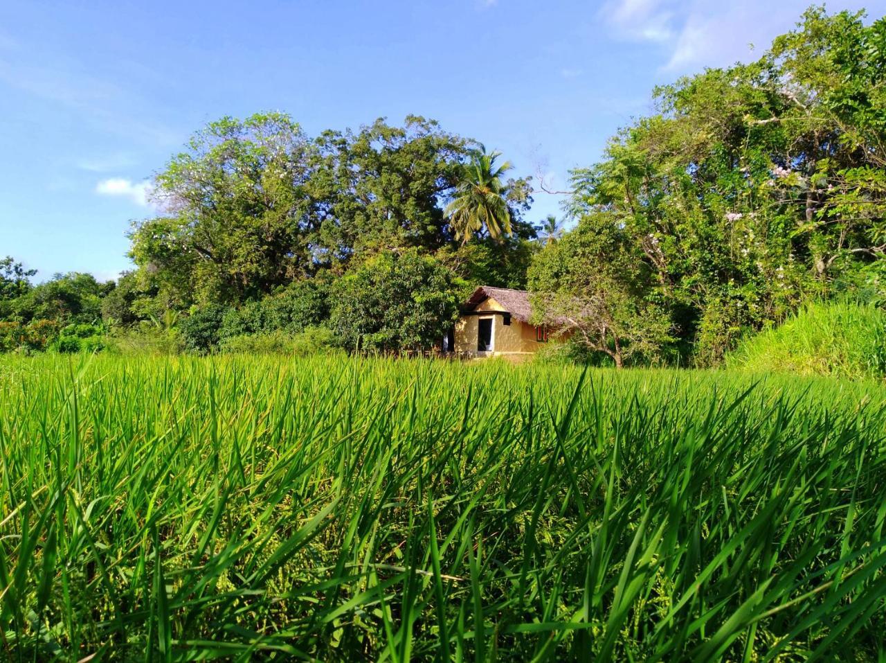 Villa Raintree à Dambulla Extérieur photo