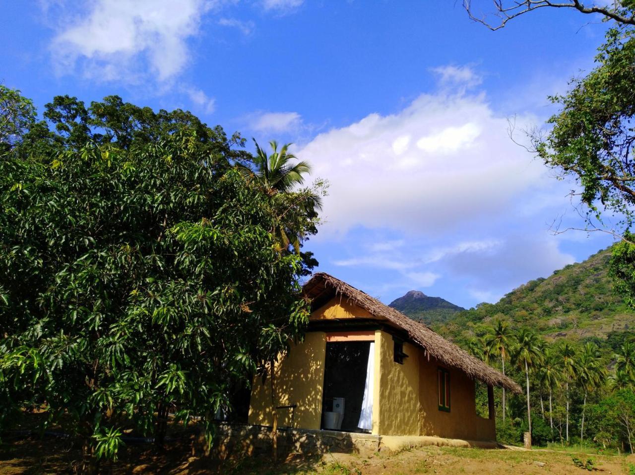 Villa Raintree à Dambulla Extérieur photo