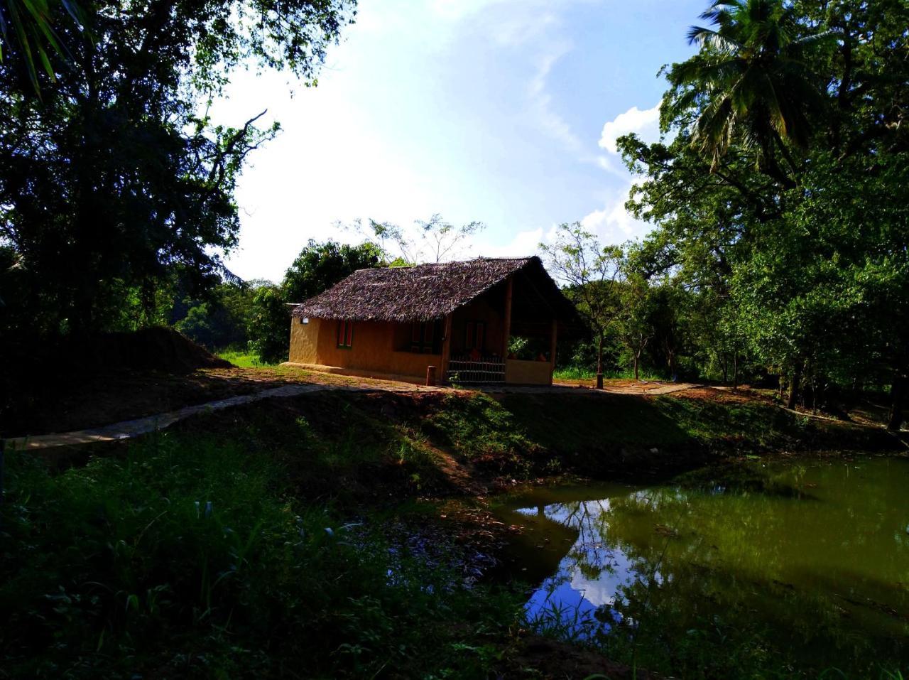 Villa Raintree à Dambulla Extérieur photo
