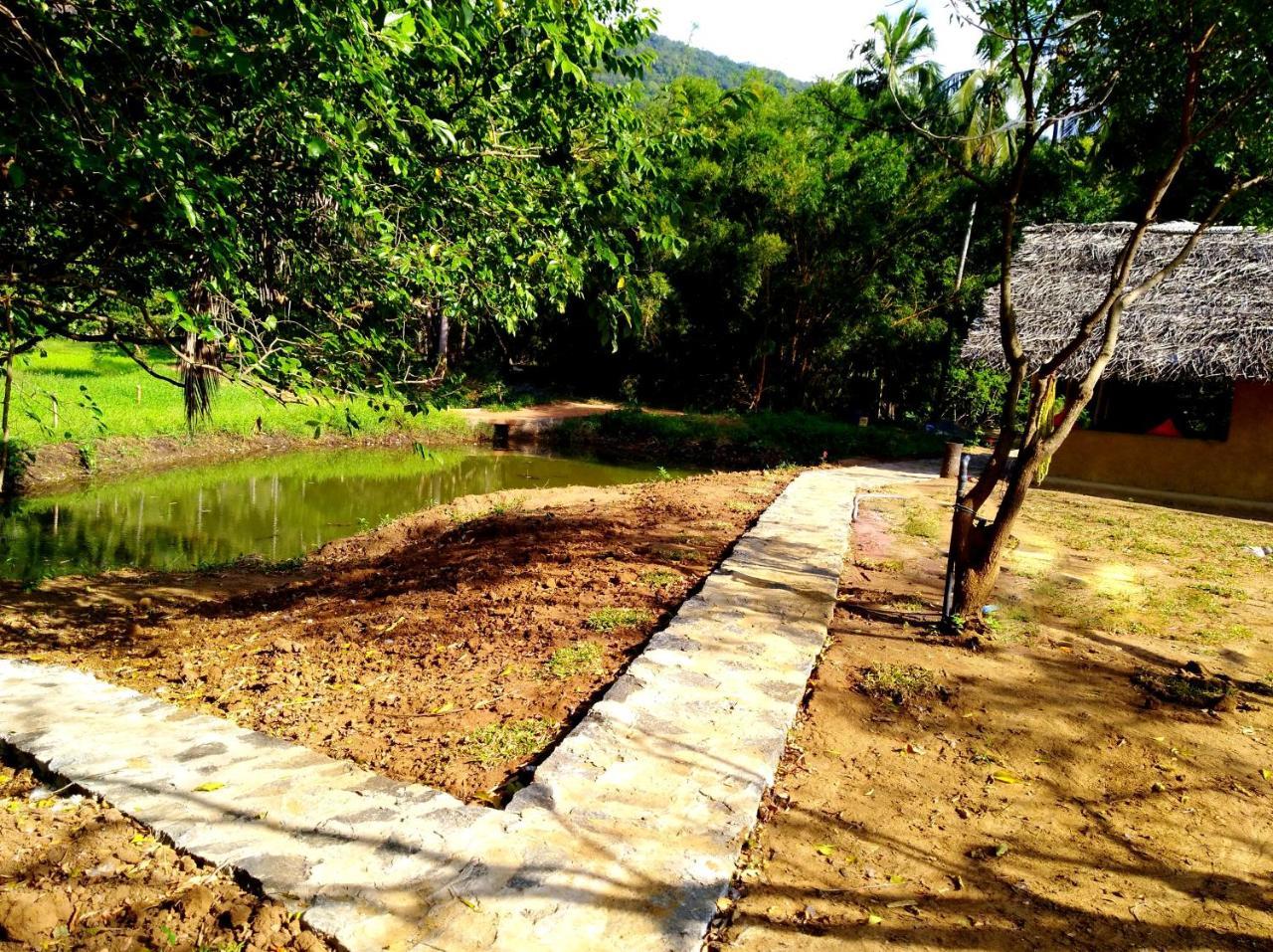 Villa Raintree à Dambulla Extérieur photo